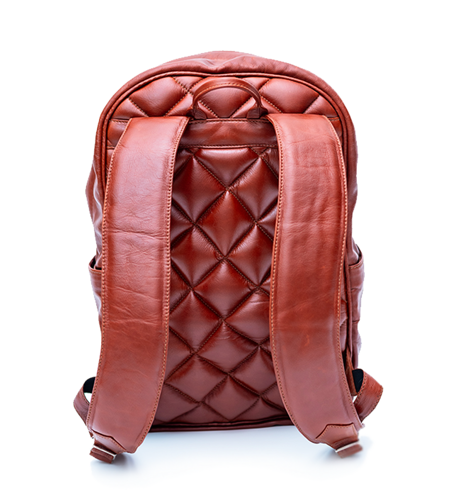 CHARGEO Stellenbosch Cognac leather backpack back view CHARGEO Stellenbosch Cognac leather backpack back view