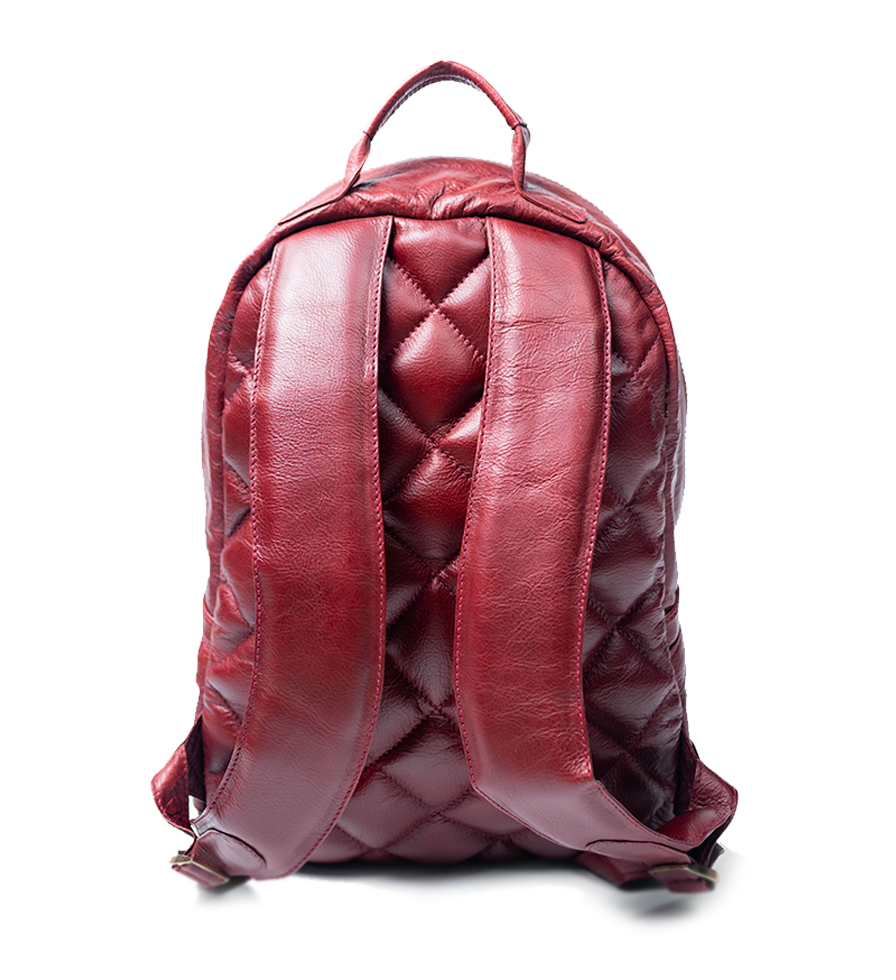CHARGEO Umhlanga RedRuby leather backpack straight full back view