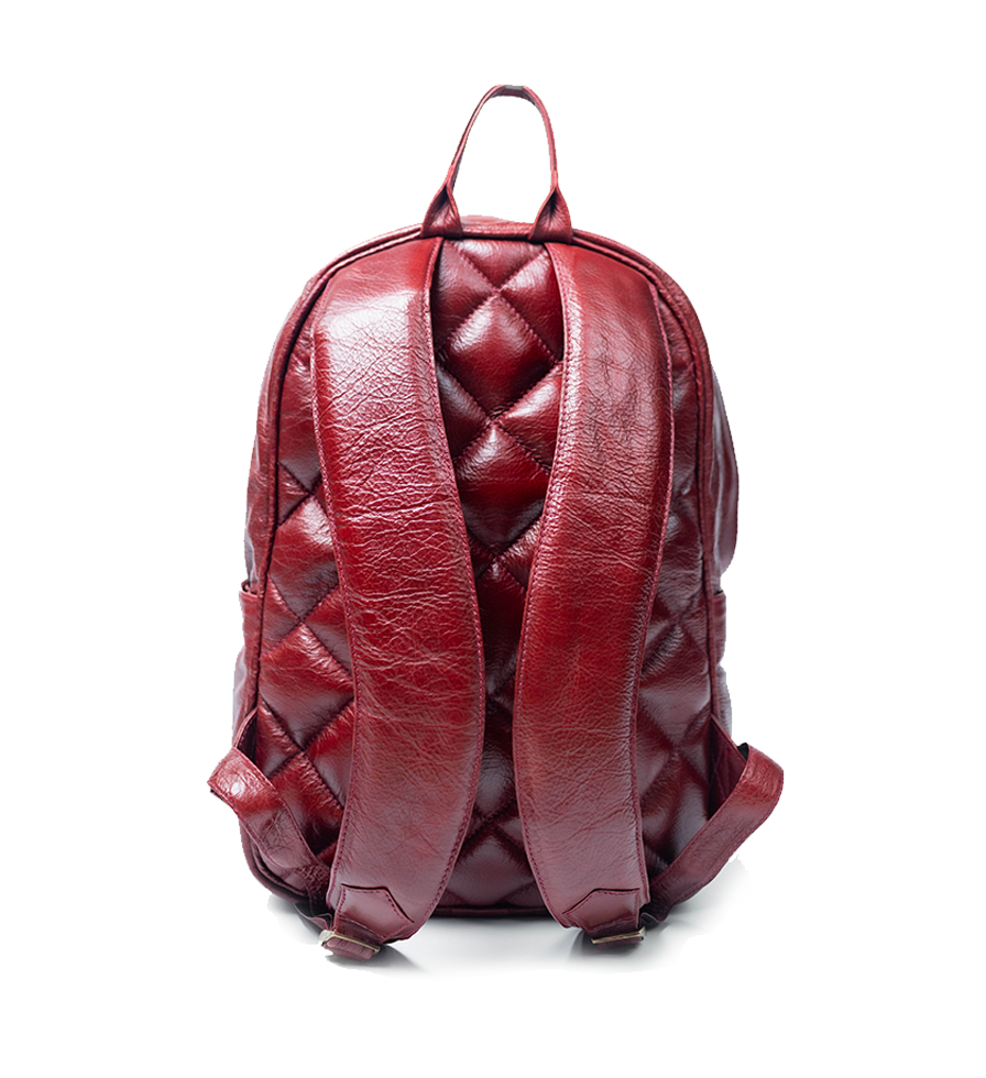 Back view of CHARGEO Pretoria Backpack in RedRuby leather. Back view of CHARGEO Pretoria Backpack in RedRuby leather.