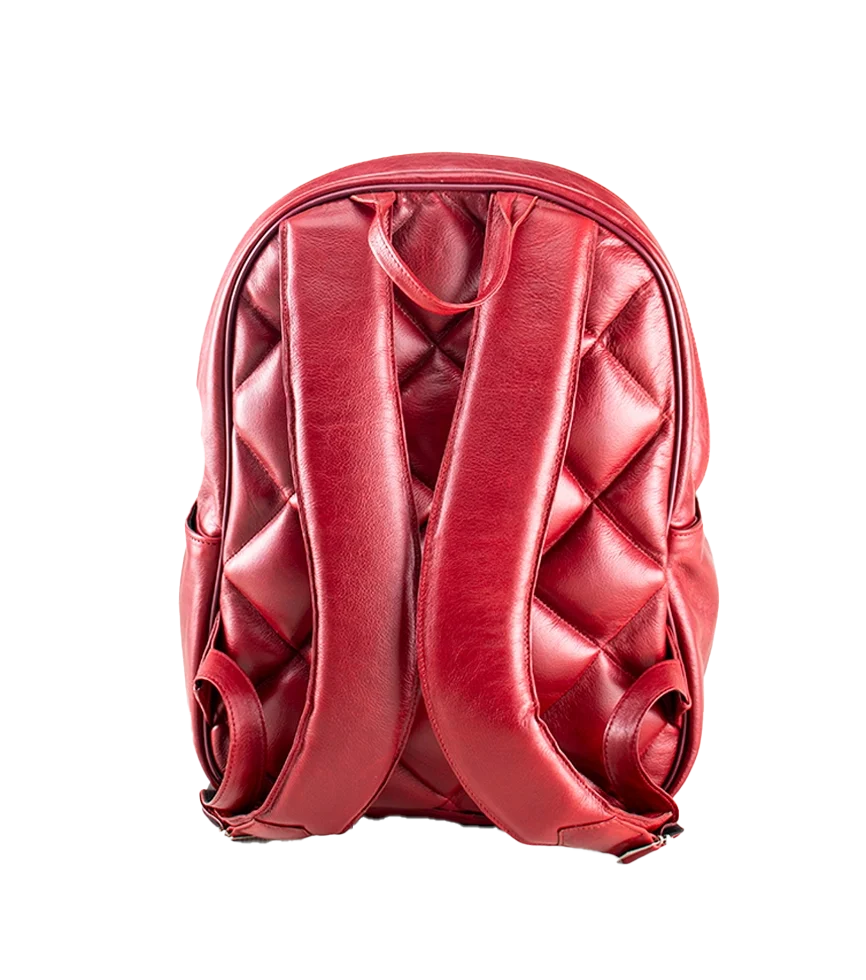 Back view of CHARGEO Pretoria Backpack in RedRuby leather.