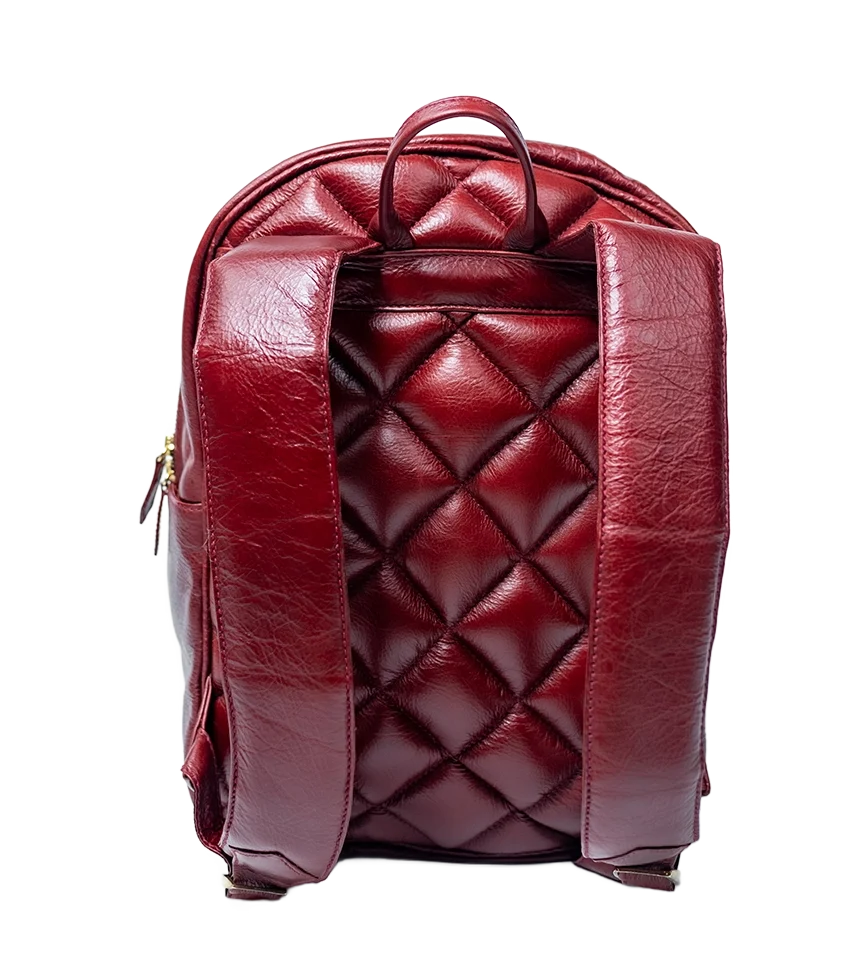 Chargeo Leather Bag Constantia Back View