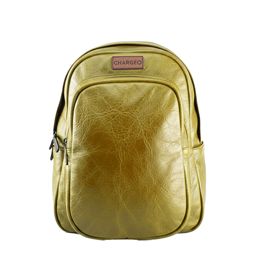 Front view of CHARGEO Park Town Backpack in Avocado leather.