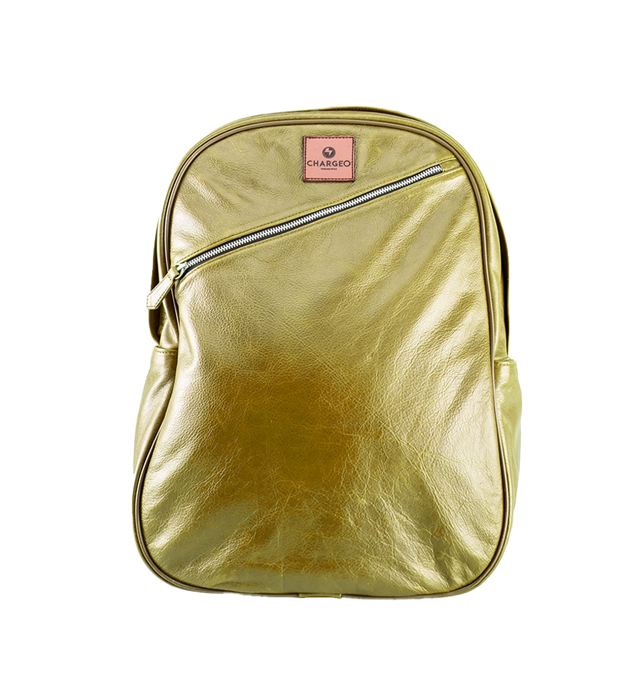 Front view of CHARGEO Pretoria Backpack in Avocado leather.