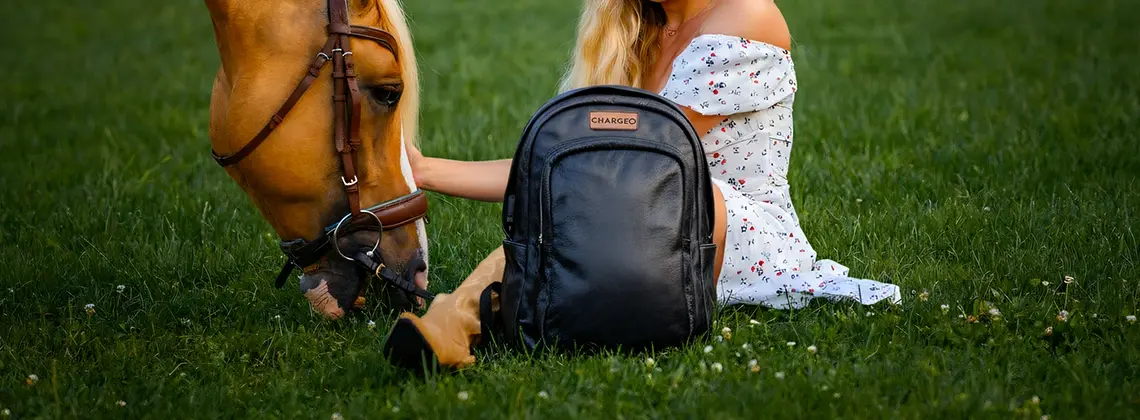 Parktown Model sitting on grass next to a horse